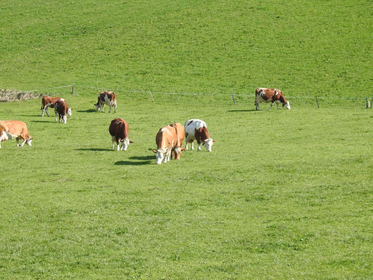 Ferienhaus Hoellwarth Stumm Buitenkant foto